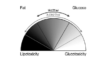 Diabetes and vessel wall remodeling Αύξηση πάχους έσω µέσου χιτώνα και αυξηµένη εναπόθεση κολλαγόνου Μειωµένη διατασιµότητα αρτηριών Διαστολική δυσλειτουργία αριστερή κοιλίας (ΣΔ τύπου ΙΙ) Ο έλεγχος