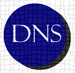 Εξυπηρετητής DNS Όπως έχουμε πει, η δρομολόγηση των πακέτων γίνεται με βάση την IP διεύθυνση του παραλήπτη.