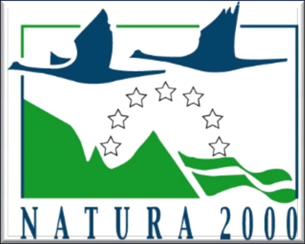 Δίκτυο Natura 2000 Το Δίκτυο Natura 2000 αυτό