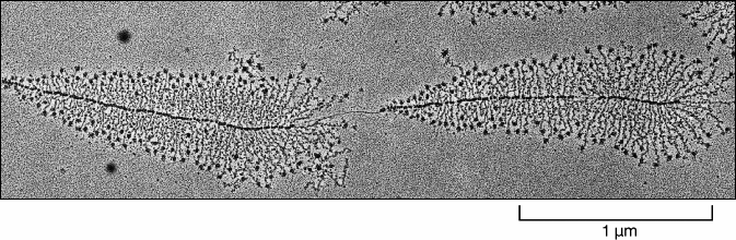 Η µεταγραφή επιτελείται από RNA πολυµεράσες (RNA polymerases) Οι πολυµεράσες καταλύουν το σχηµατισµό των φωσφοδιεστερικών δεσµών και δηµιουργούν τον σακχαροφωσφορικό σκελετό της αλυσίδας του RNA Η