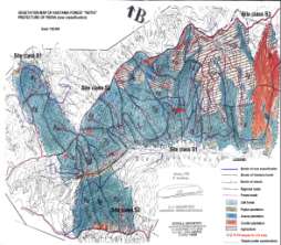 In degraded places (ridges) the upper soil layer (A0-A1) could be missing while in some cases (slopes or ravines) the red-brown layer (B) appears.