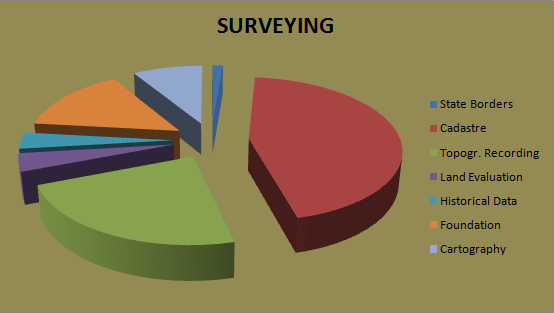 THE FEDERAL MINISTRY OF SURVEYING Other Costs 668.000 0.77% Transactions Expenses, Public Levies BEV-TOTAL COSTS 87.037.