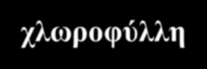 Τροφή και άλατα : Το έδαφος στηρίζει τα φυτά και τα τρέφει για να αναπτυχθούν μέσω των ριζών.