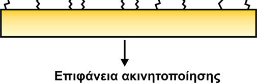 των υλικών στήριξης είναι χρονοβόρες και σε ορισμένες περιπτώσεις απαιτούν την χρήση ακριβών αντιδραστηρίων. Απεικόνιση της ακινητοποίησης ενζύμου με ομοιοπολική σύνδεση 1.2.