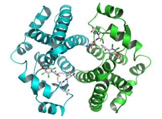 u Parent gene Random mutagenesis * * * * * * Mutated genes Transformation Screening Pick-up mutants Library of random mutants Sequencing 3 u (µm/min) u 2 1 1 / 1,6 1,4 1,2 1 0,8 0,6 0,4 0,2 0 0 20 40