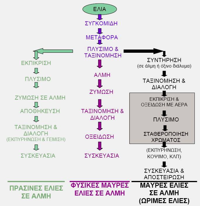 Εικόνα 1. Σχεδιάγραμμα ροής των τριών κύριων τύπων επεξεργασίας της επιτραπέζιας ελιάς. Σύμφωνα με το σύστημα που χρησιμοποιείται για την εκπίκριση του καρπού, διακρίνοναι δύο κατηγορίες επεξεργασίας.