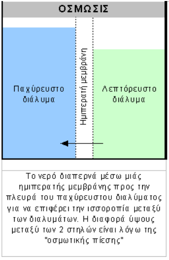 Γειαδή ην λεξφ δηέξρεηαη ειεχζεξα απφ ηε κεκβξάλε πξνο ηα αιαηνχρα δηαιχκαηα.