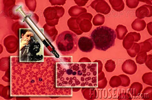 Εξετάσεις Αίματος Γενική Αίματος και ΤΚΕ Γενικό Τσεκ απ (Check-up) Σίδερο Φερριτίνη Τύπος Αίματος & Ρέζους Λιπίδια Αίματος Υπατικά και Καρδιακά ένζυμα Αναλύσεις Θυρεοειδή Στίγμα