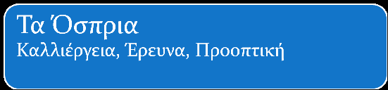 Ινστιτούτο