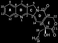 4.3.2 Χημική δομή Από χημικής απόψεως πρόκειται για ένα ομοεπίπεδο σύστημα πέντε δακτυλίων, που περιλαμβάνει μία ρίζα κινολίνης (δακτύλιοι Α και Β), έναν πυρολικό δακτύλιο (δακτύλιος C), έναν