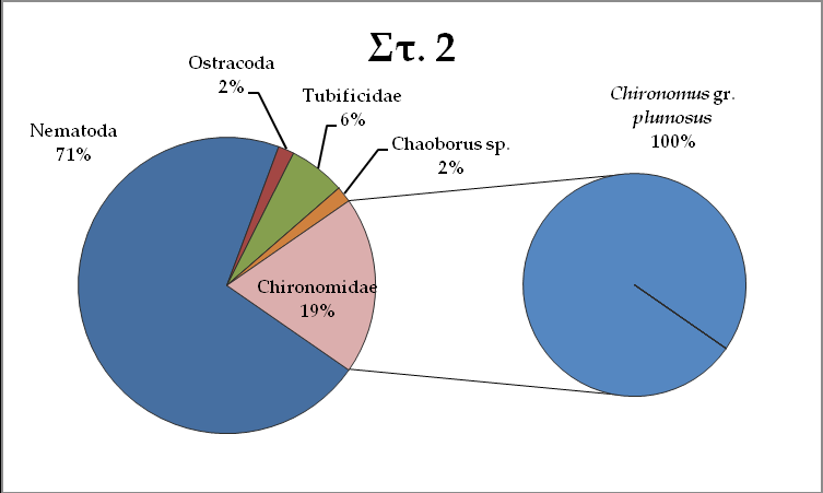 μοναδικός εκπρόσωπος της οικογένειας Chironomidae που βρέθηκε (Εικ. 4.2). Το είδος αυτό στο σταθμό Στ. 1 ήταν το αμέσως πιο άφθονο στην οικογένεια των Chironomidae (37,7%) μετά το Procladius choreus.