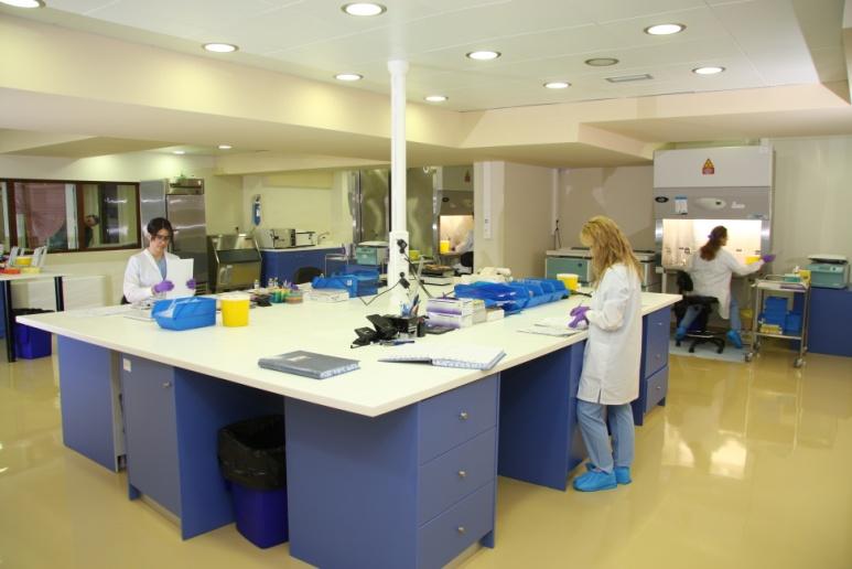Τα εργαστήρια της Stem-Health λειτουργούν εντός του Νοσοκομείου ΥΓΕΙΑ, στον 2ο όροφο. Ερυθρού Σταυρού 4 & Κηφισίας, Μαρούσι, 15123 Τ: 211 700 7800 www.stem-health.