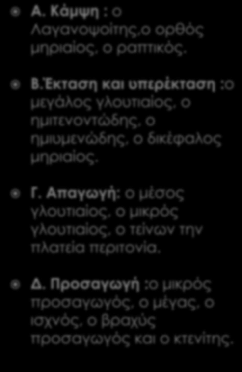 Οι κινήσεις της άρθρωσης του ισχίου Α. Κάμψη : ο Λαγανοψοίτης,ο ορθός μηριαίος, ο ραπτικός.