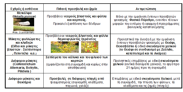 Εχθροί, Ασθένειες και