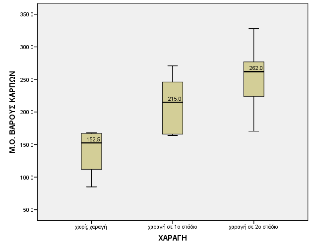 Γράφημα 2 : Επίδραση των τριών χειρισμών (Μάρτυρας, Χαραγή σε 1 ο, Χαραγή σε 2 ο στάδιο) στο Μ.Ο. βάρους των καρπών που συγκομίστηκαν.