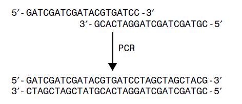 PCR HIGHLIGHTS Ολιγονουκλεοτιδικοί εκκινητές (primers) 6.