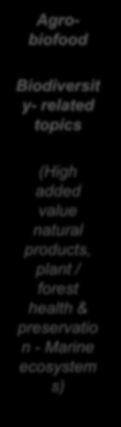 RIs in the National Strategic Framework for Research and Innovation linking excellence to socio-economic challenges enabling innovation INNOVATION PLATFORMS Agrobiofood Environme nt Health- Pharma