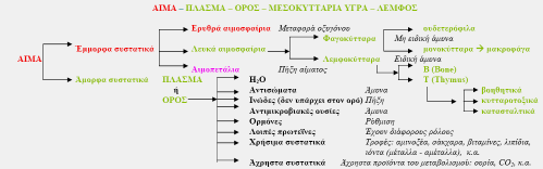 ιακρίνονται σε: o Ερυθρά αιµοσφαίρια ή