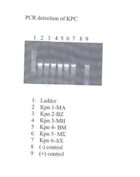 ΜΕΤΑΦΟΡΑ ΠΟΛΥΑΝΘΕΚΤΙΚΗΣ Klebsiella pneumoniae (KPC) ΑΠΟ ΑΛΛΑ