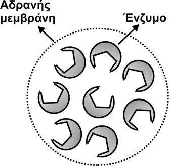 Τα προσροφούμενα βιομόρια διατηρούν πολύ υψηλό ποσοστό ή σχεδόν όλη την αρχική τους ενεργότητα ανάλογα με τη φύση των αναπτυσσόμενων δεσμών, οι οποίοι δεν προκαλούν καταστροφή των ενεργών κέντρων.