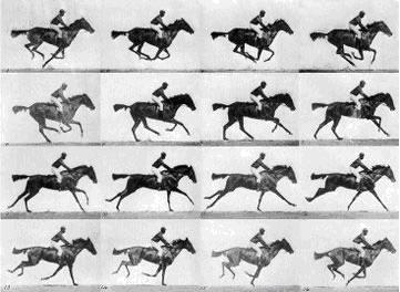 (http://www.arikah.net/encyclopedie-francaise/eadweard_muybridge & http://www.dapontes.gr/index.php?