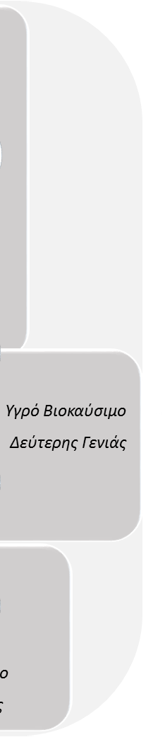 Κεφάλαιο 1 Εισαγωγή στα Βιοκαύσιμα και τα Υλικά Υψηλής Προστιθέμενης Αξίας Σχήμα 1.2.