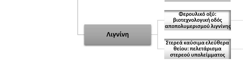 Παρακάτω, απεικονίζονται συγκεντρωτικά οι ενώσεις που μπορούν να εξαχθούν κατά την επεξεργασία των δομικών συστατικών της λιγνοκυτταρινικής βιομάζας καθώς και οι περαιτέρω εφαρμογές