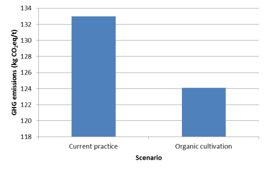 for irrigation. The second most important energy consumer are the fertilizers, followed by pesticides and fuel.