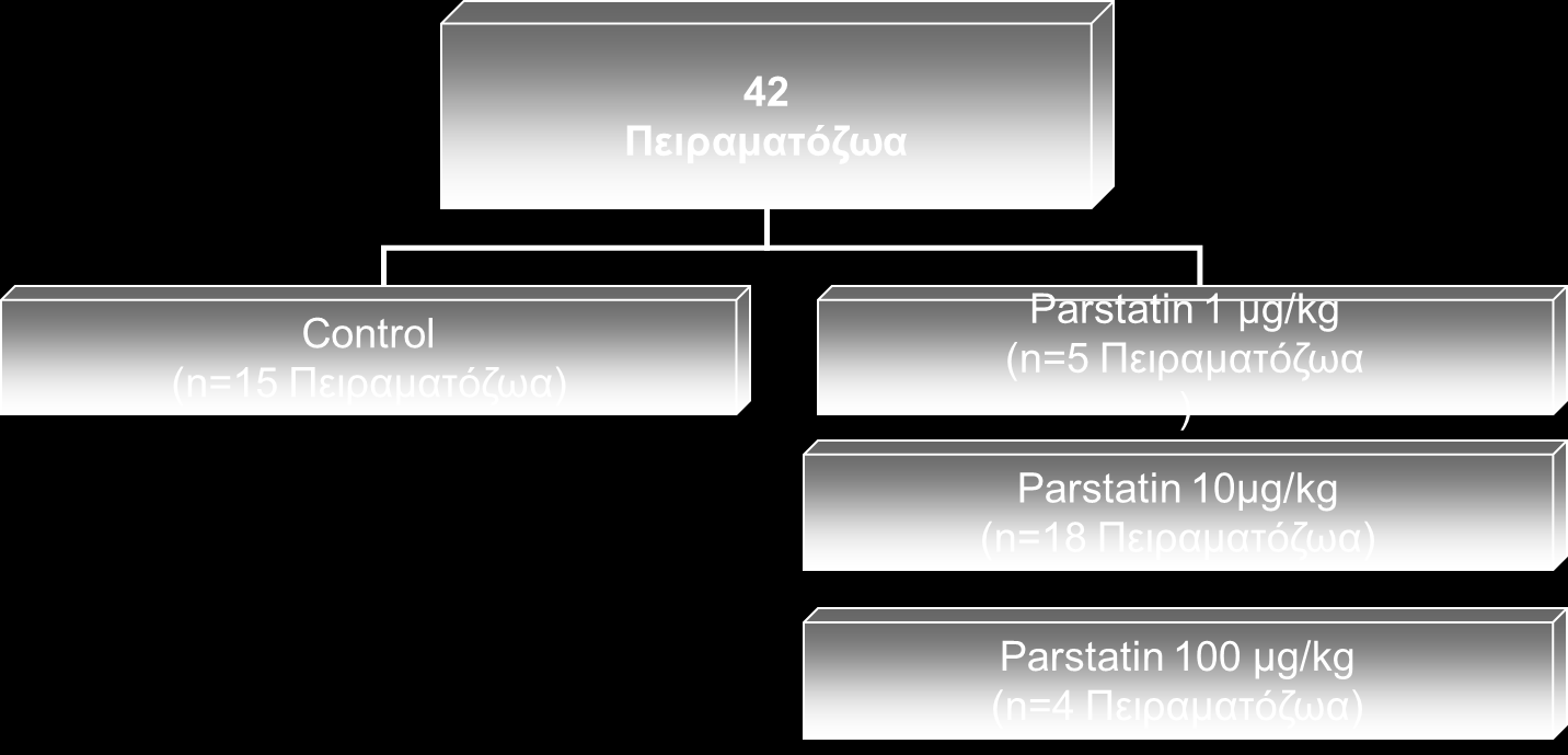 Γράφημα 2: Το γράφημα απεικονίζει αναλυτικά τον τρόπο με τον οποίο σχεδιάστηκε το μέρος ΙΙ της ερευνητικής εργασίας.