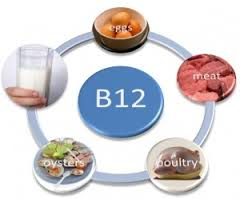 Βιταμίνη B 7 (βιοτίνη) Πηγές πρόσληψης : δημητριακά και προϊόντα τους, μαγιά, συκώτι, όσπρια Φυσιολογικές λειτουργίες: συμμετέχει στο μεταβολισμό των υδατανθράκων, πρωτεϊνών και λιπών.