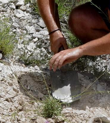 Συλλογή φυτογενετικών πόρων Συλλογή πολλαπλασιαστικού υλικού (ζωντανά άτομα, σπέρματα, μοσχεύματα) Αποξηραμένα δείγματα