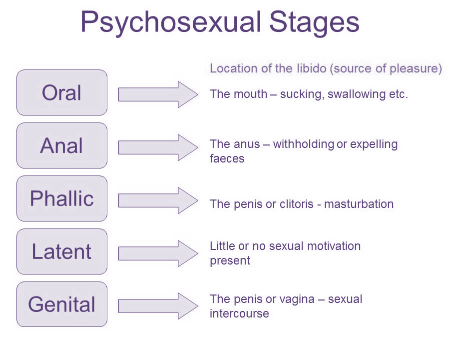 στάδιο (εφηβεία), το γενετήσιο στάδιο (genital stage), τα σεξουαλικά ένστικτα βρίσκονται σε παροξυσμό και η ευχαρίστηση προέρχεται από τη σεξουαλική πράξη.