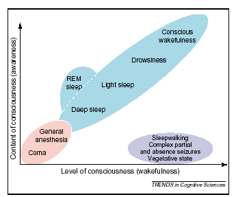 αποσύνδεσης της συνείδησης (δηλ.