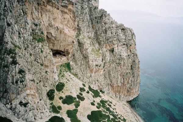 Οικότοποι Το δάσος του Φράξου Βρίσκεται κοντά στο Λεσίνι. Η σημερινή του έκταση είναι 450 στρέμματα. Χαρακτηρίστηκε ως Διατηρητέο Μνημείο της Φύσης.