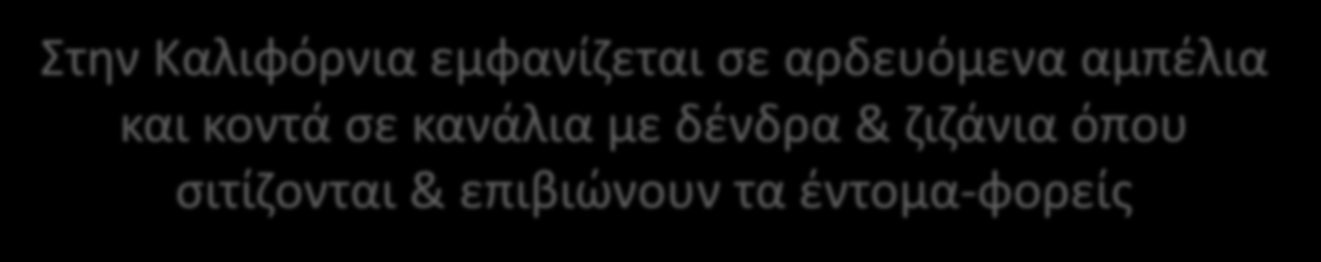 με δένδρα & ζιζάνια όπου σιτίζονται &