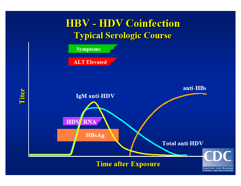 Η εξέλιξη σε χρόνια ταυτόχρονη HBV+ HDV λοίμωξη παρατηρείται σε ποσοστό μικρότερο του 5% των ασθενών, η δε φυσική της πορεία δεν διαφέρει από αυτή της HBV λοίμωξης.