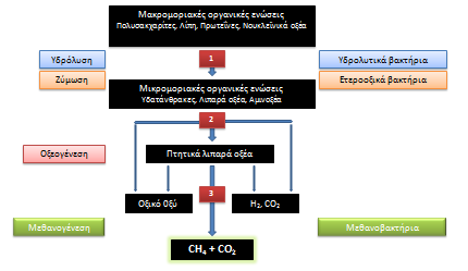 Σχηματική απεικόνιση της αναερόβιας διεργασίας Υδατάνθρακες C 6 H 12 O 6 CH 3 CH 2 COOH CH 3 CH 2 CH 2 COOH CO 2 H 2 Υδρόλυση Οξεογένεση Μεθανογένεση Οργανικά οξέα CH 3 COOH CH 3 CH 2 COOH CH 3 CH 2