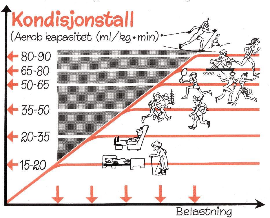 VO2max Endurance level