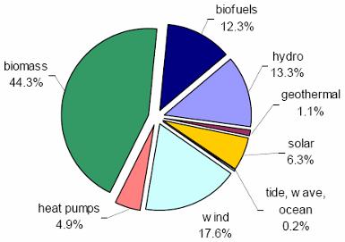 Βιομάζα & Ενέργεια Βιομάζα & βιοκαύσιμα αντιστοιχούσαν στο 61% ΑΠΕ το 2005, με προοπτική ελάττωσης στο 56.