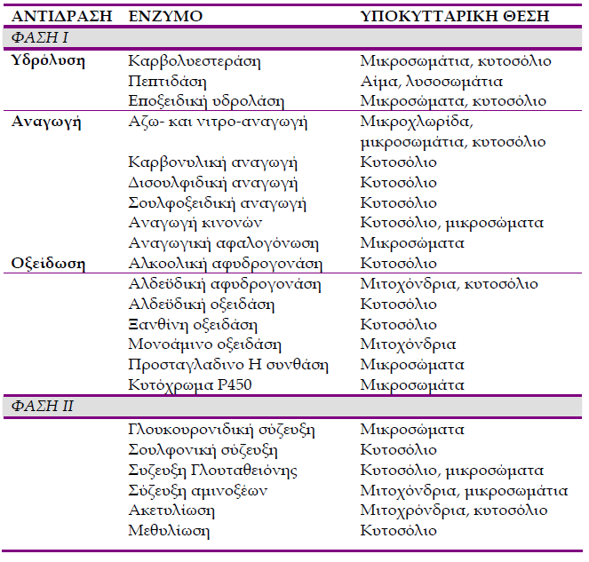 ρήκα 4.