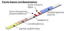 ΕΝΗΜΕΡΩΤΙΚΟ ΔΕΛΤΙΟ ΕΕΚΧ-ΚΒ Ανίχνευση σημειακών μεταλλάξεων με βιοαισθητήρα DNA τύπου ταινίας ξηρών αντιδραστηρίων Ιωάννης Κ.