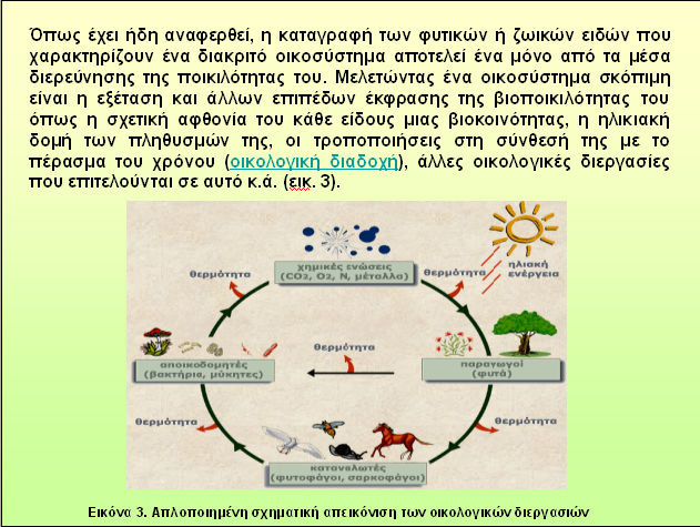 Εικόνα 41.