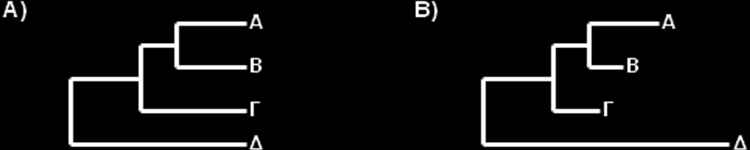 42 Δηθόλα 11: Γξαθηθή απεηθόληζε Α, δέλδξνπ κε ξίδα θαη Β, δέλδξνπ ρσξίο ξίδα Κιαδόγξακκα έλαληη Φπινγξάκκαηνο ην θιαδφγξακκα έρεη βαξχλνπζα ζεκαζία ε ηνπνινγία θαη φρη ην κήθνο ησλ βξαρηφλσλ, ελ