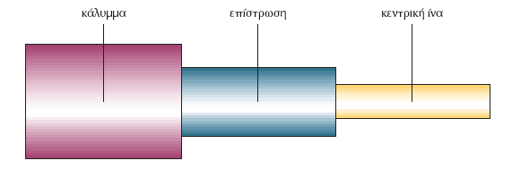 4. Ομοαξονικά Καλώδια Το ομοαξονικό καλώδιο αποτελείται από δύο αγωγούς (κεντρικός και εξωτερικός) οι οποίοι έχουν τον ίδιο άξονα.