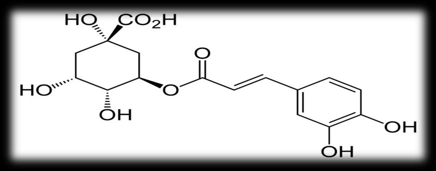 Επίσης, η θεοφυλλίνη, που είναι σε επίπεδα 7-23 μg/kg στον αράμπικα και 86-344 μg/kg στον ρομπούστα.