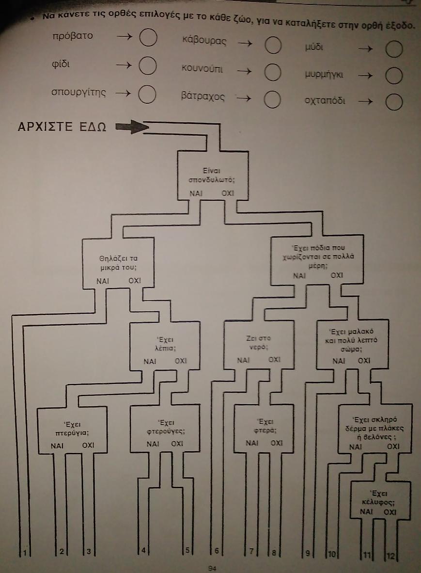 Δίνονται ζώα στους μαθητές και πρέπει να απαντήσουν σε κάποιες συγκριμένες ερωτήσεις μέσω του σχεδιαγράμματος για να καταλήξουν στη σωστή έξοδο.