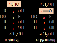 Μονοσακχαρίτες Οι μονοσακχαρίτες διακρίνονται σε αλδόζες (πολυ-υδροξυ-αλδεύδες), ΗΟ-(CHOH)n-CHO και κετόζες (πολυ-υδροξυ-κετόνες), ΟΗ-(CHOH)n-1-CO-CH2OH Η κατάληξη -όζη δηλώνει υδατάνθρακα.
