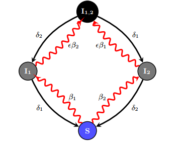 30 ΚΕΦΑΛΑΙΟ 5. ΠΡΟΗΓΟΥΜΕΝΑ ΑΠΟΤΕΛΕΣΜΑΤΑ Σχήμα 5.7: Διάγραμμα καταστάσεων ενός κόμβου στο μοντέλο μερικού ανταγωνισμού SI 1 2 S [3] 5.2.2 Interacting Viruses in Networks: Can Both Survive?