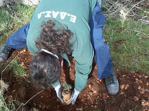 Γεωργίου Βουρδουμπά. Το συγκεκριμένο σημείο κάηκε το καλοκαίρι του 2013 από πυρκαγιά, την οποία εντόπισε πρώτο το όχημα του ΕΔΑΣΑ, που υπήρξε επίσης το πρώτο πυροσβεστικό όχημα που επενέβη στο συμβάν.