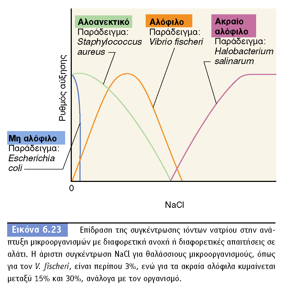 BIOΛOΓIA TΩN MIKPOOPΓANIΣMΩN ΠANEΠIΣTHMIAKEΣ EKΔOΣEIΣ KPHTHΣ Η υψηλή συγκέντρωση αλατιού (NaCl) ή ζάχαρης σε ένα